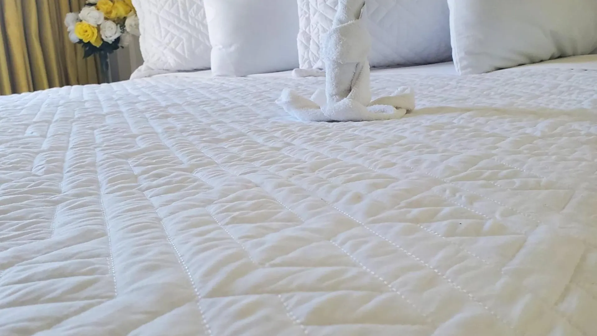 The Island Garden Hotel Nassau